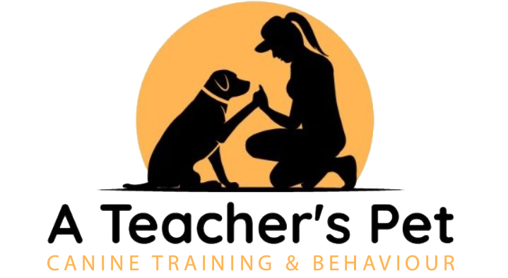 A Teacher's Pet